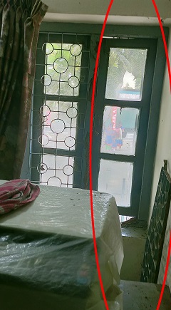 image-here